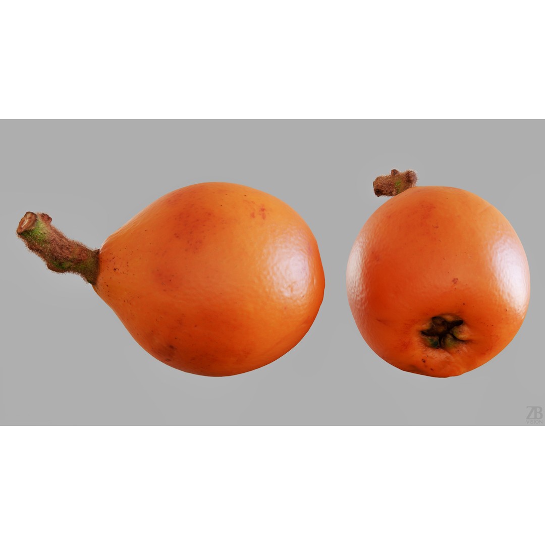 Loquat 3D Model – High Poly Photogrammetry Fruit Asset, FBX, OBJ
