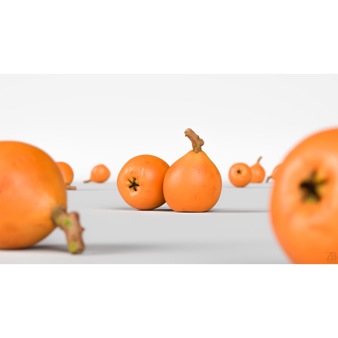 Loquat 3D Model – High Poly Photogrammetry Fruit Asset, FBX, OBJ - View 3