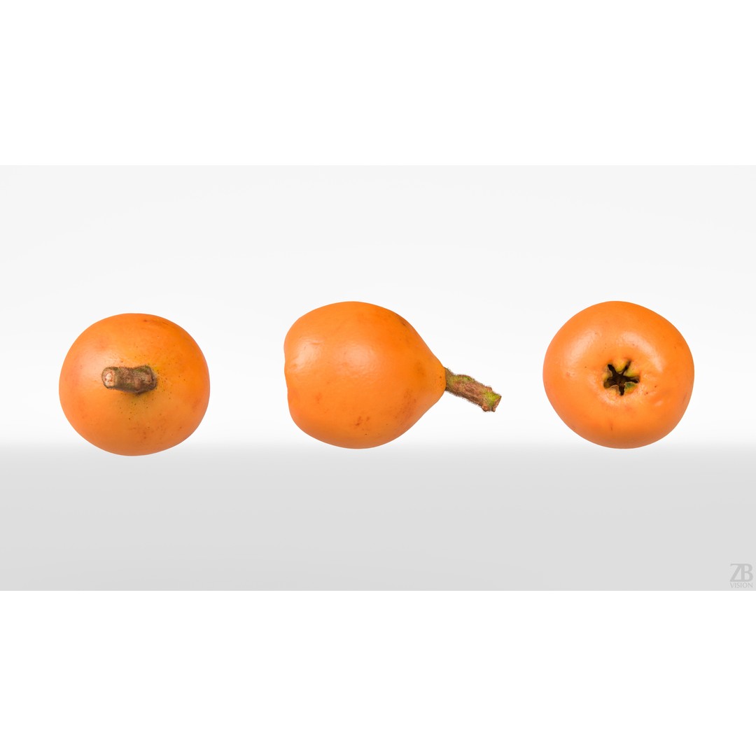 Loquat 3D Model – High Poly Photogrammetry Fruit Asset, FBX, OBJ - View 6