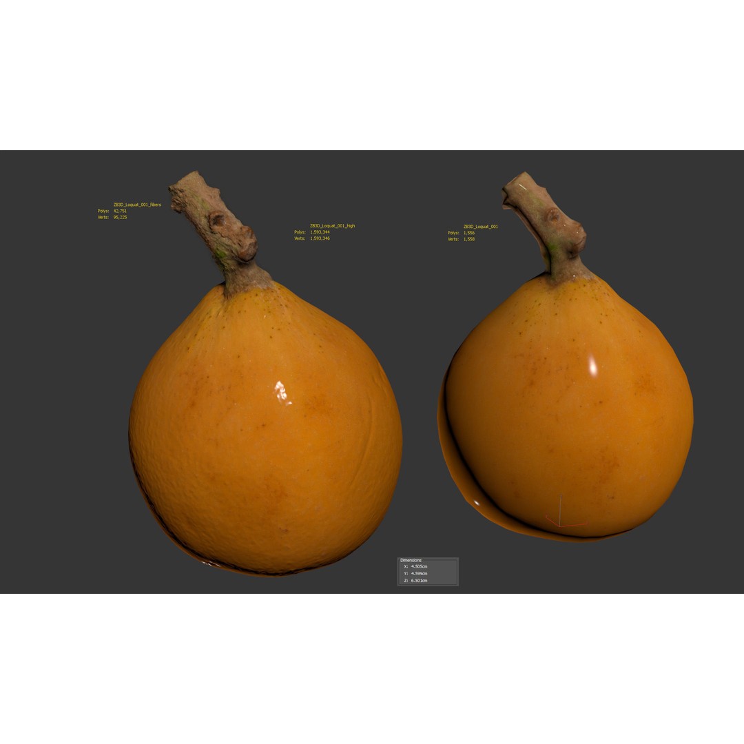 Loquat 3D Model – High Poly Photogrammetry Fruit Asset, FBX, OBJ - View 7