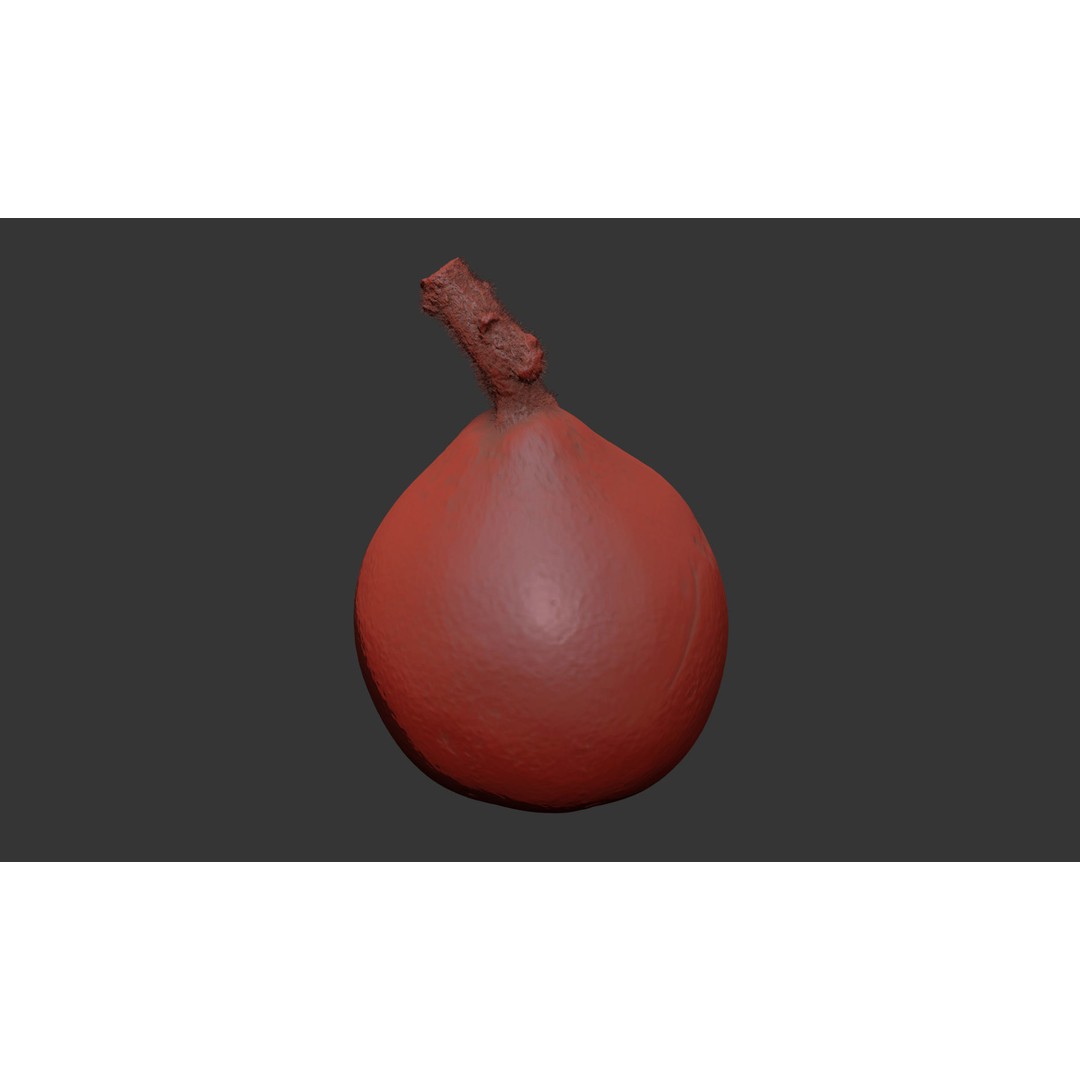 Loquat 3D Model – High Poly Photogrammetry Fruit Asset, FBX, OBJ - View 9
