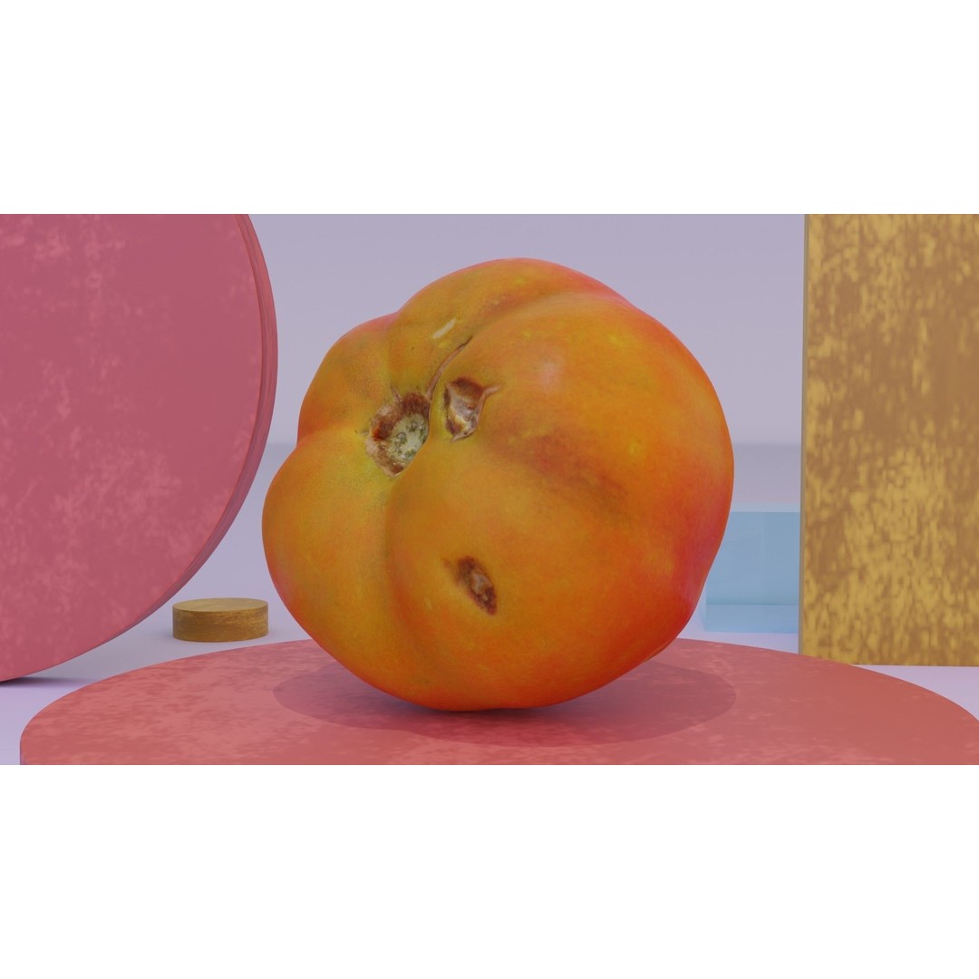 Tomato 3D Model – High Poly Photorealistic Asset for Rendering - View 12