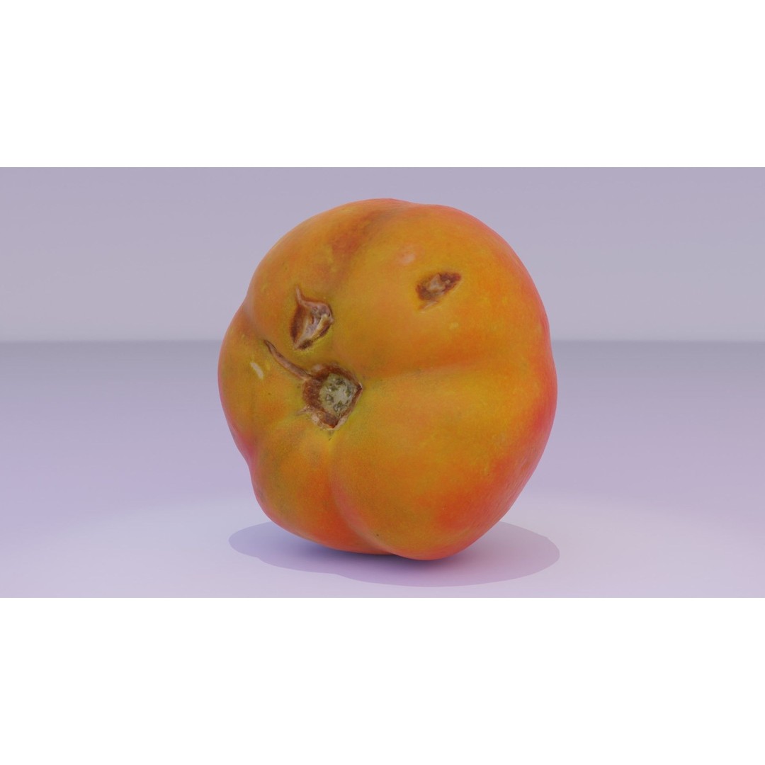 Tomato 3D Model – High Poly Photorealistic Asset for Rendering - View 13