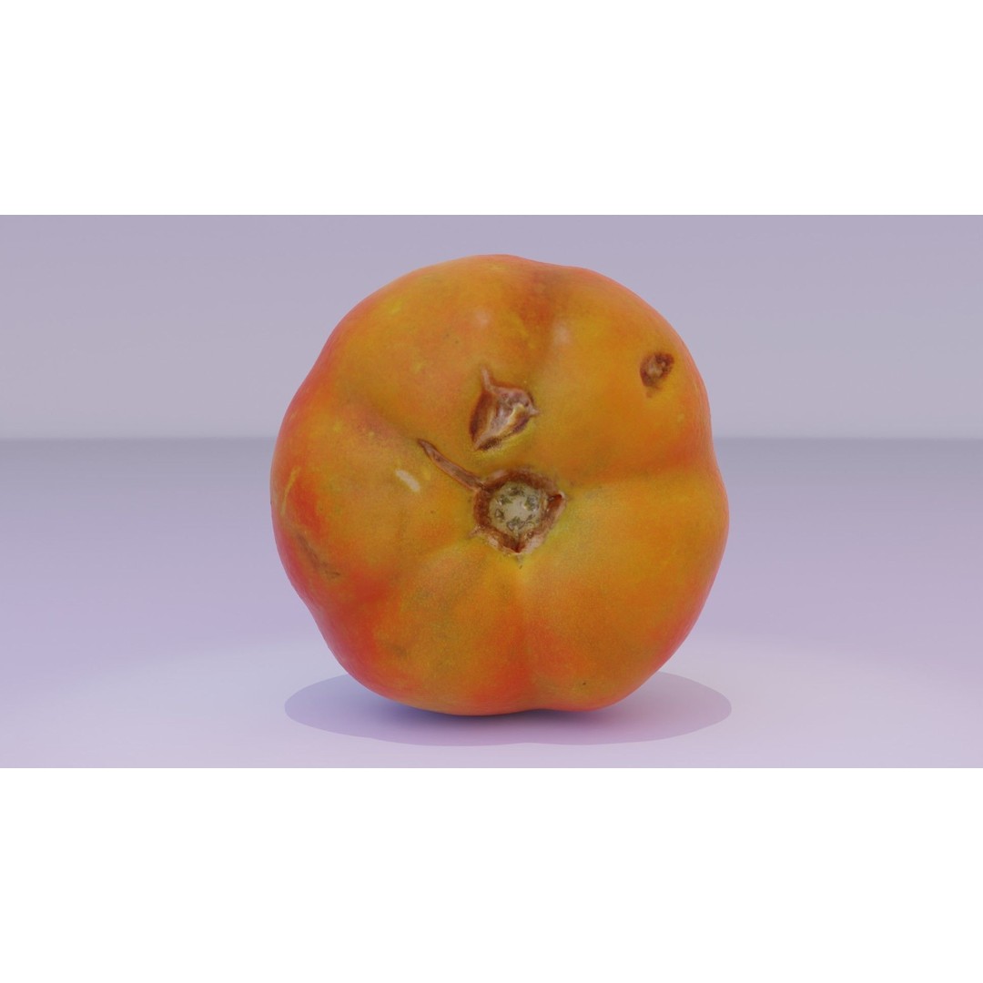 Tomato 3D Model – High Poly Photorealistic Asset for Rendering - View 14