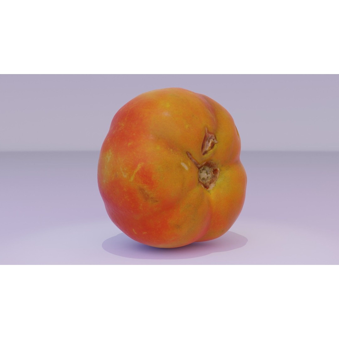 Tomato 3D Model – High Poly Photorealistic Asset for Rendering - View 15