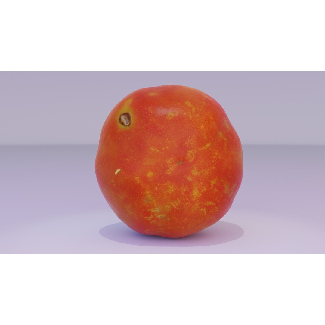 Tomato 3D Model – High Poly Photorealistic Asset for Rendering - View 19