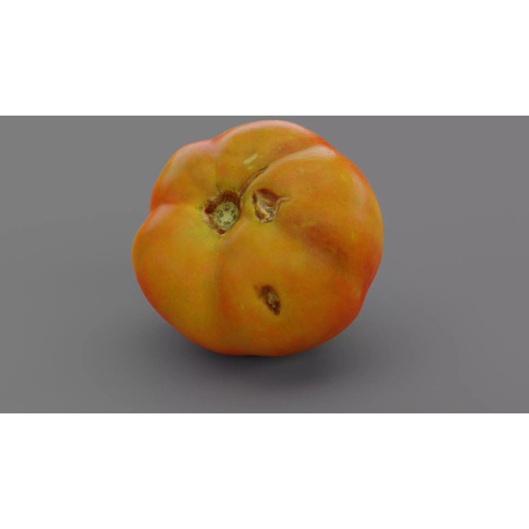 Tomato 3D Model – High Poly Photorealistic Asset for Rendering - View 2