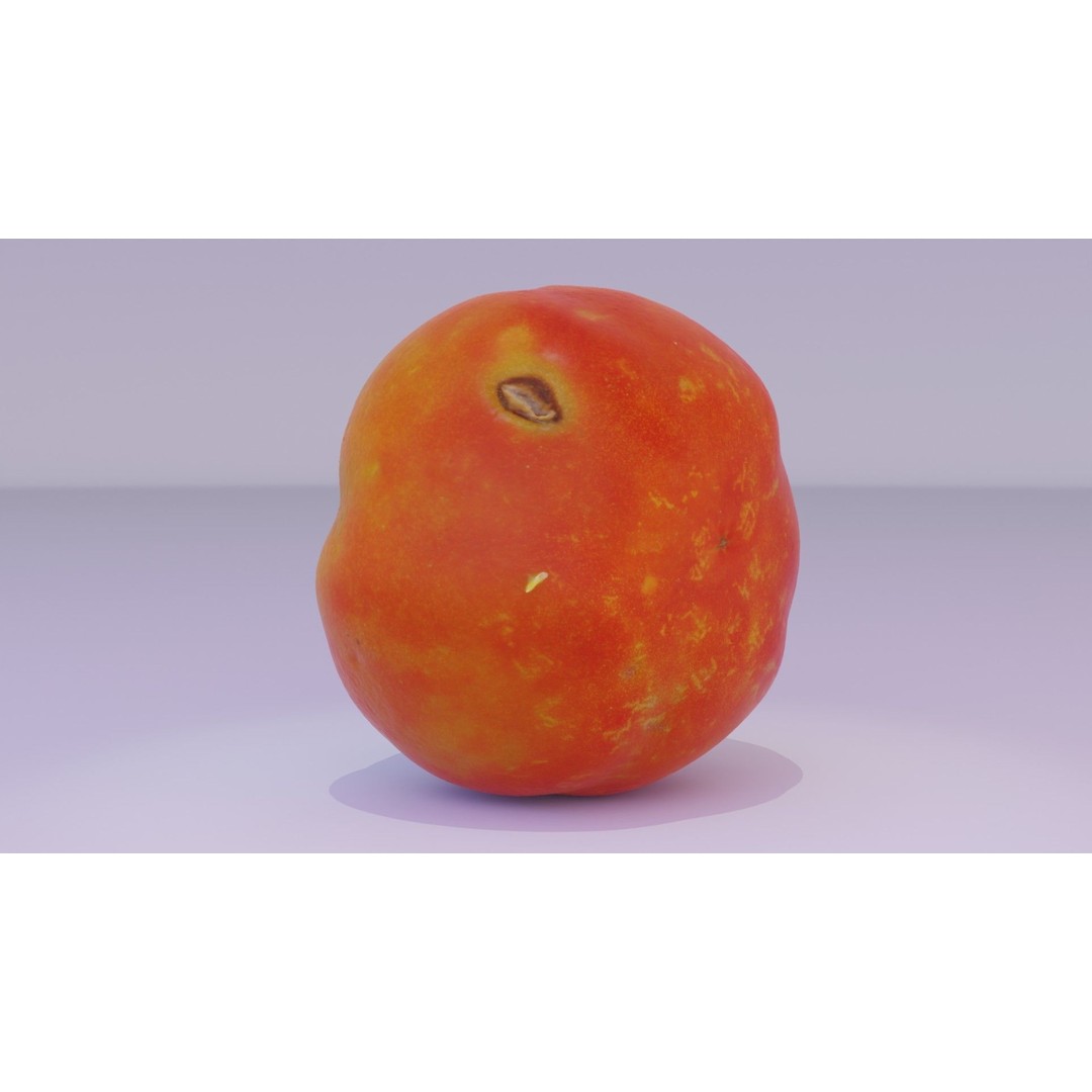 Tomato 3D Model – High Poly Photorealistic Asset for Rendering - View 20