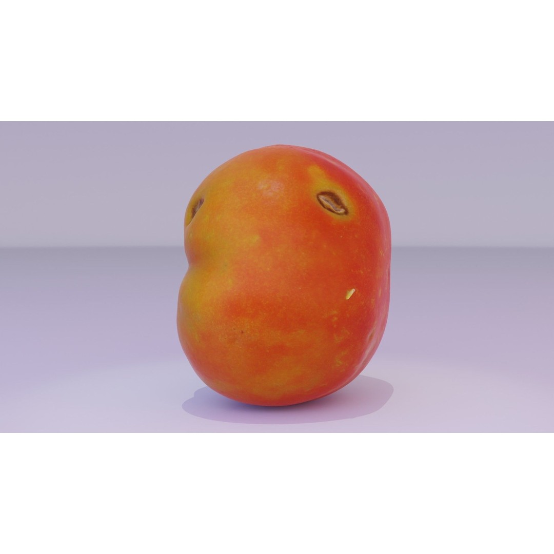 Tomato 3D Model – High Poly Photorealistic Asset for Rendering - View 21