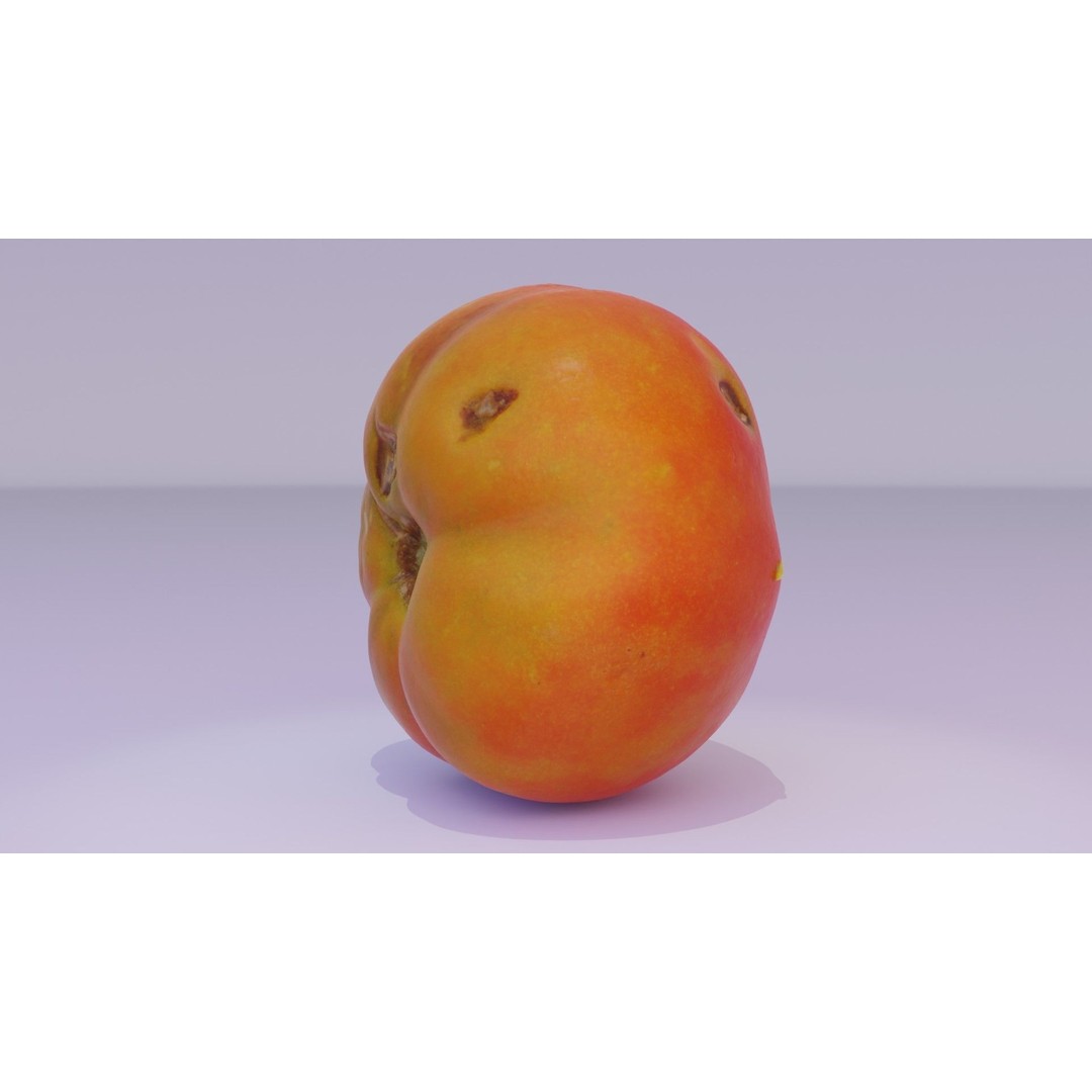 Tomato 3D Model – High Poly Photorealistic Asset for Rendering - View 22