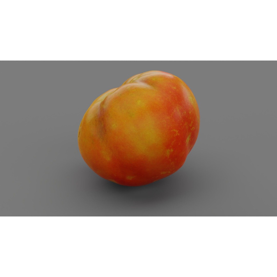 Tomato 3D Model – High Poly Photorealistic Asset for Rendering - View 27