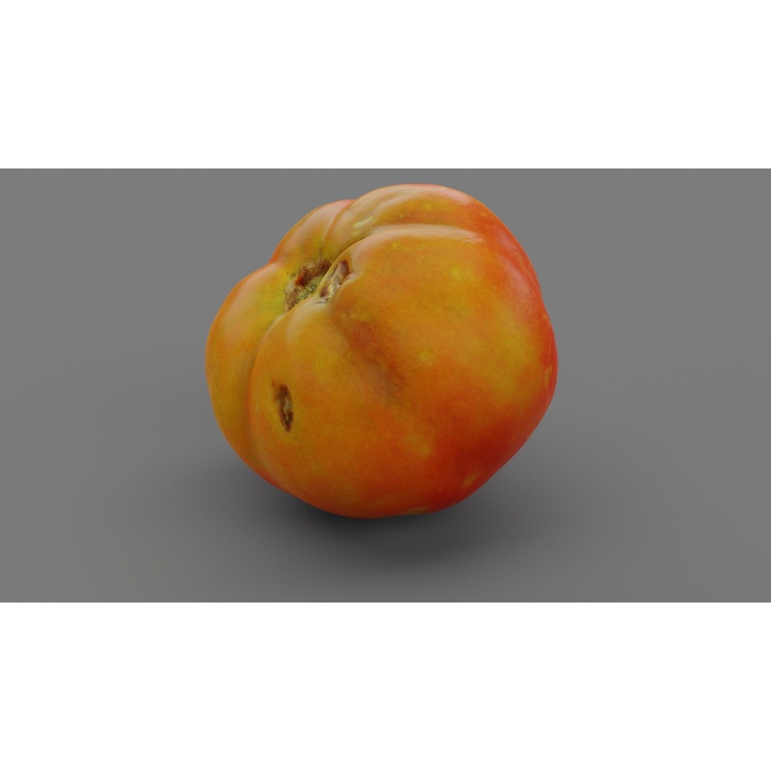Tomato 3D Model – High Poly Photorealistic Asset for Rendering - View 28