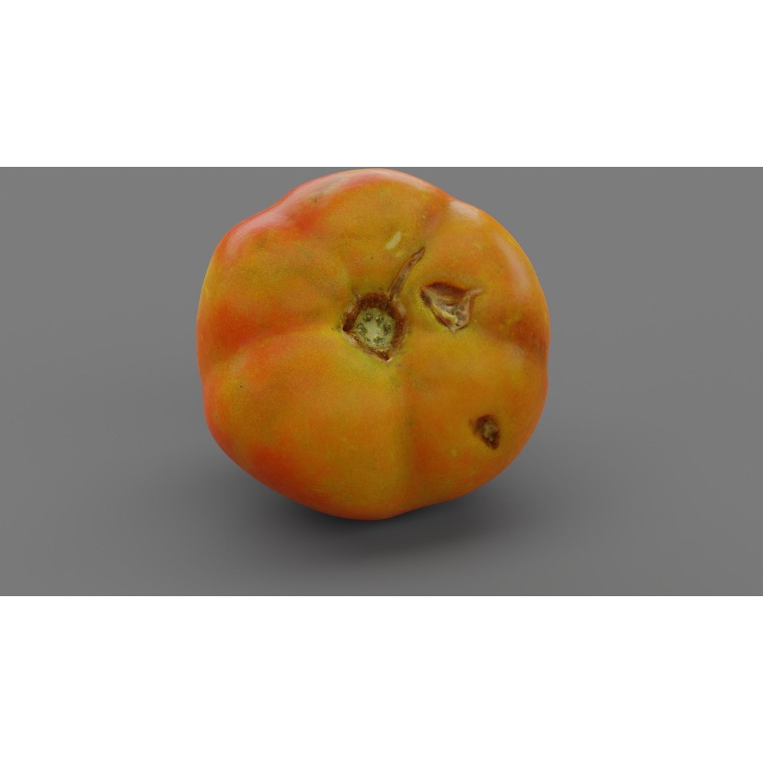 Tomato 3D Model – High Poly Photorealistic Asset for Rendering - View 29