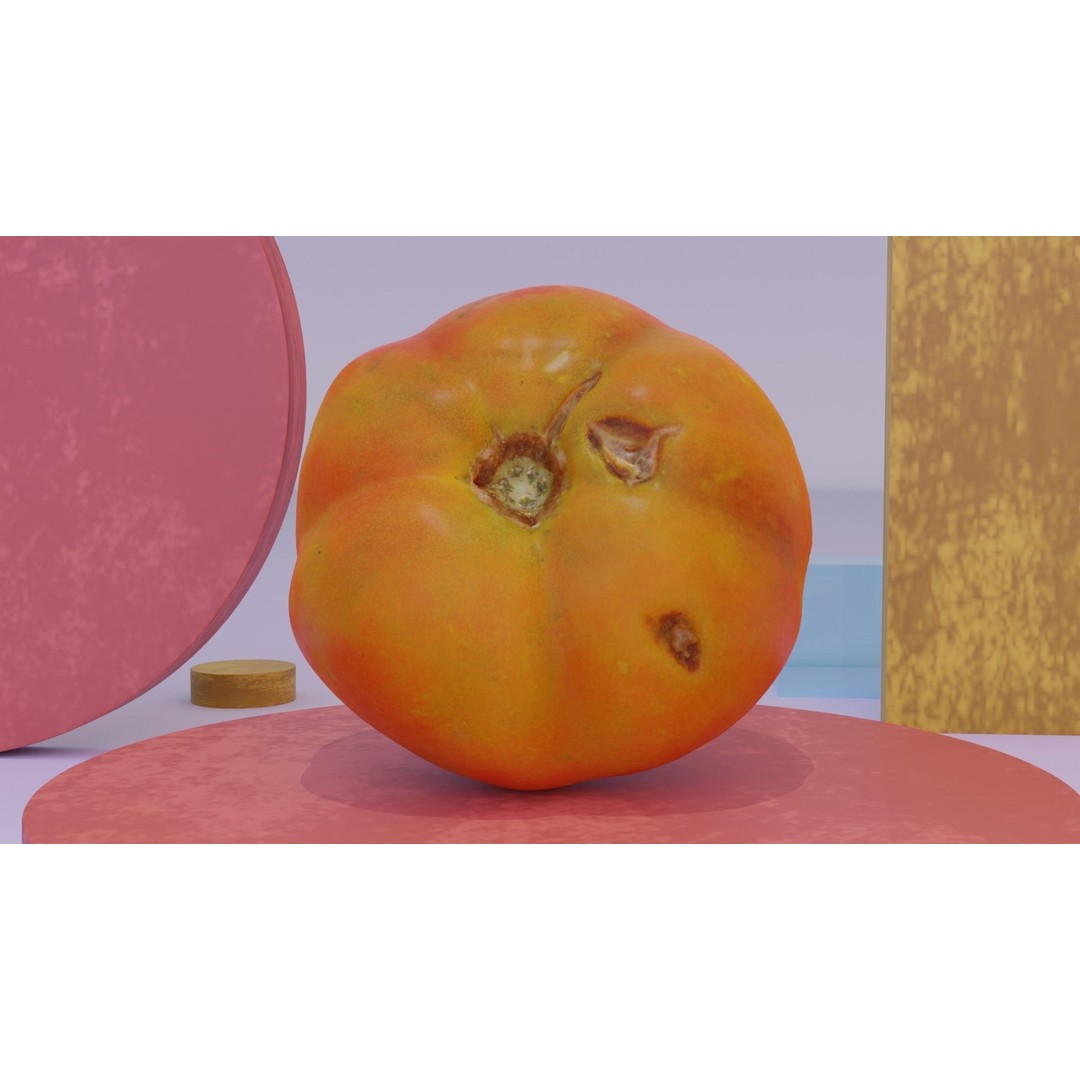 Tomato 3D Model – High Poly Photorealistic Asset for Rendering - View 3