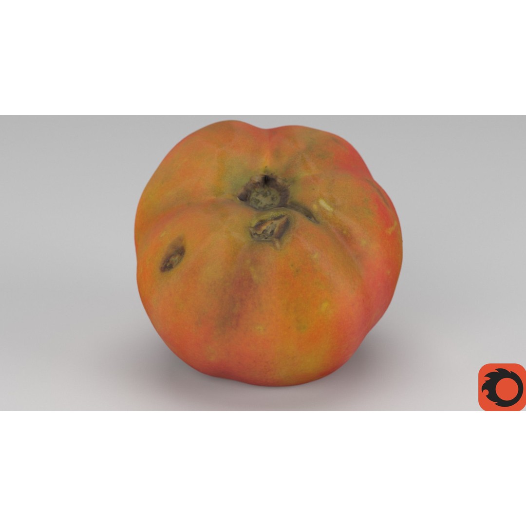 Tomato 3D Model – High Poly Photorealistic Asset for Rendering - View 32