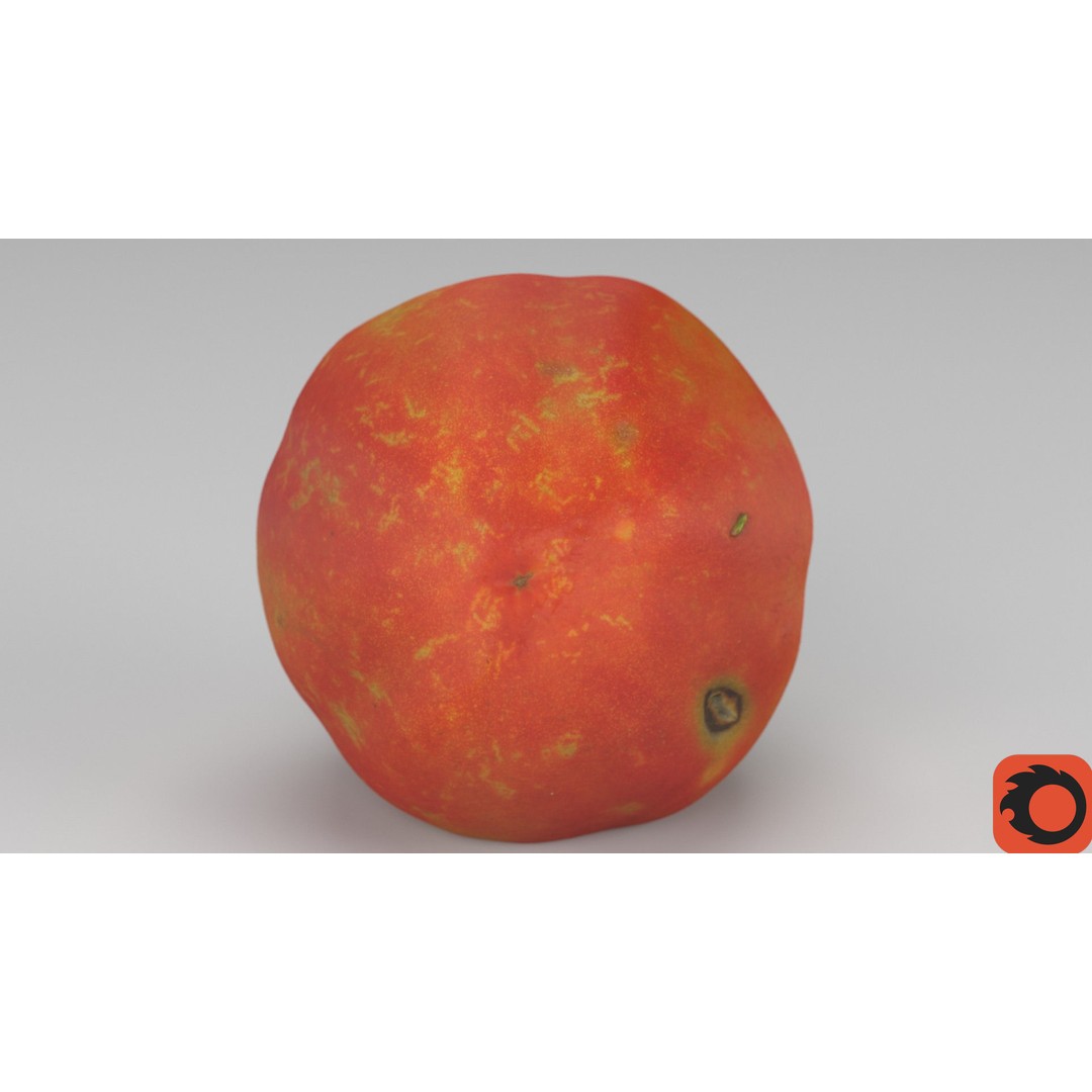 Tomato 3D Model – High Poly Photorealistic Asset for Rendering - View 34