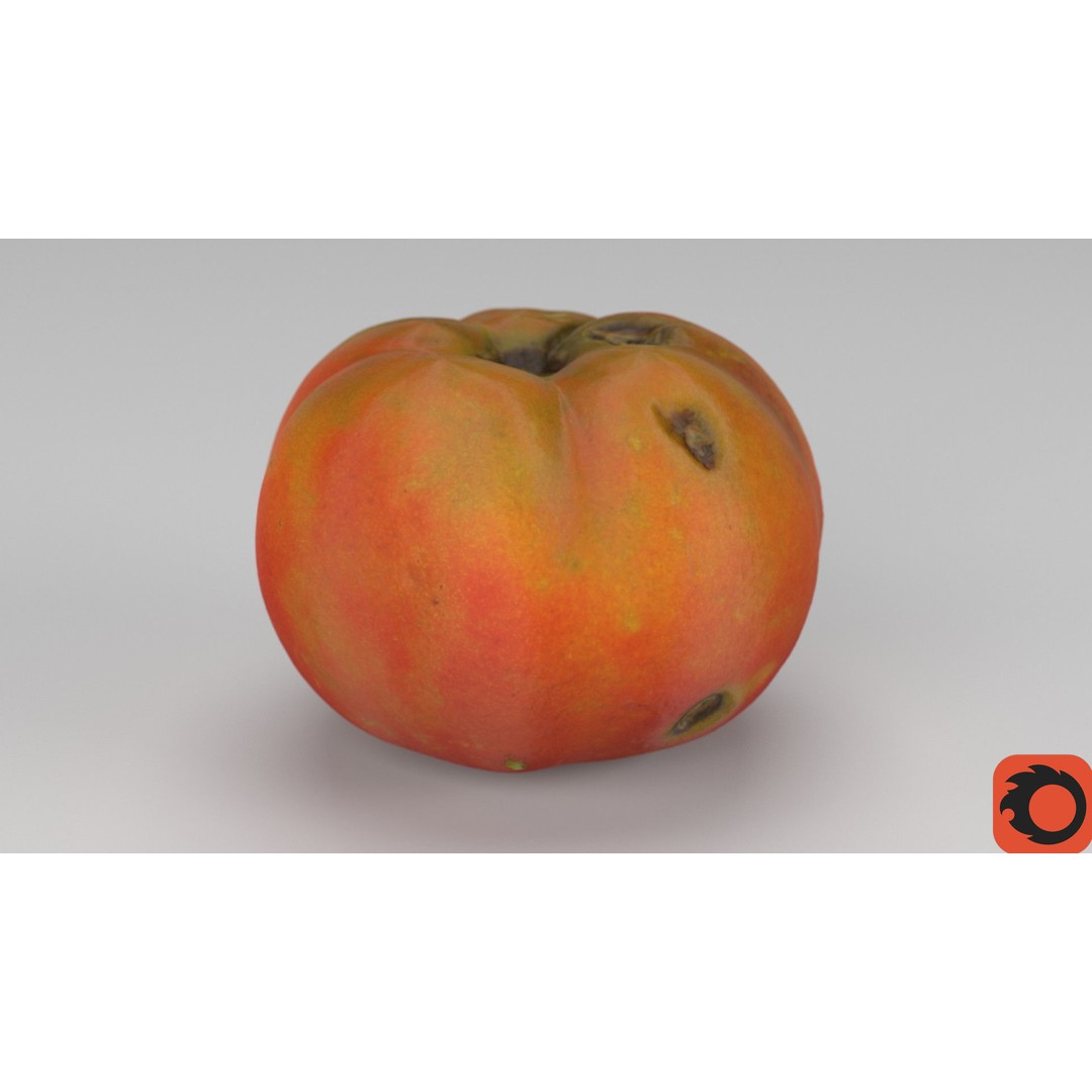 Tomato 3D Model – High Poly Photorealistic Asset for Rendering - View 35