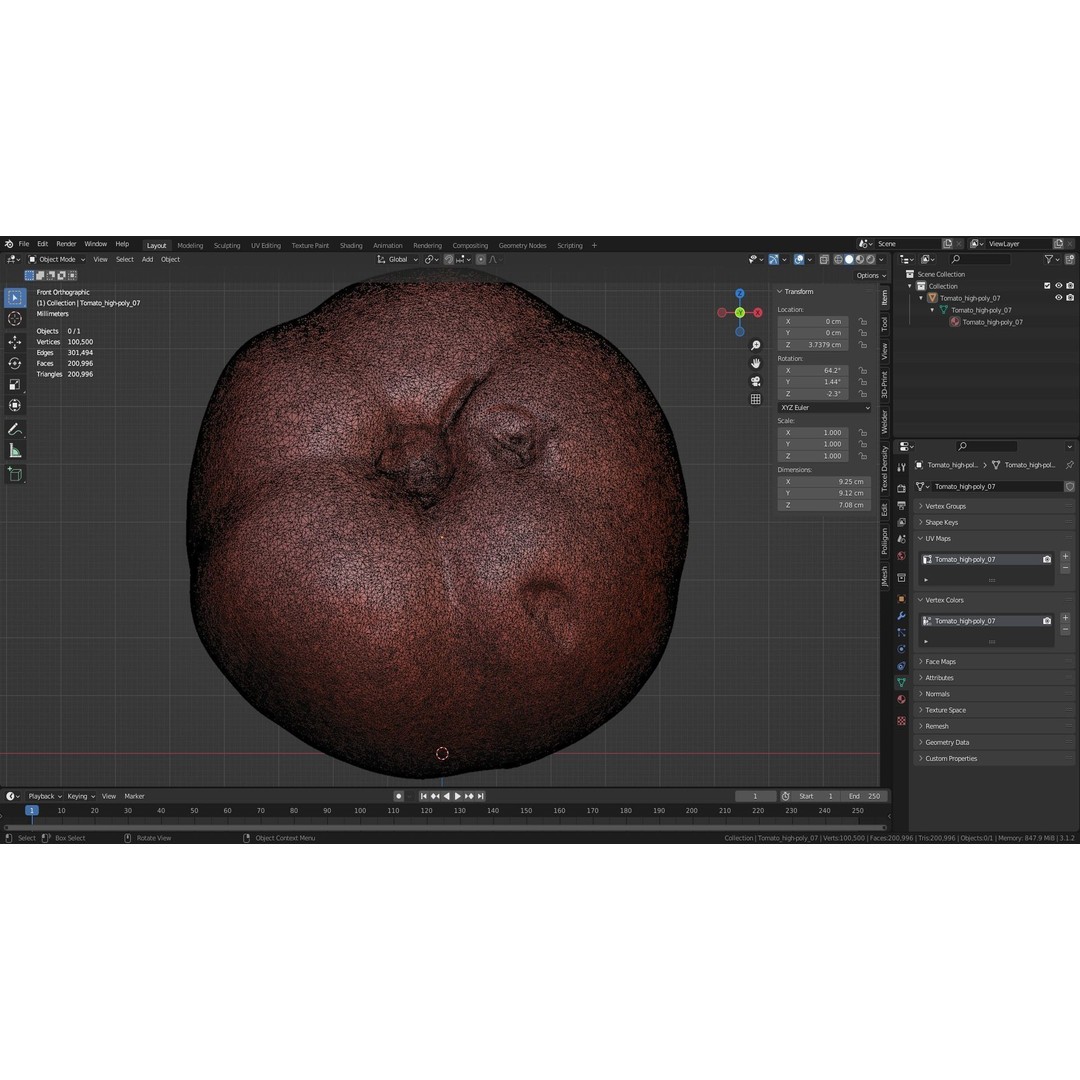 Tomato 3D Model – High Poly Photorealistic Asset for Rendering - View 36