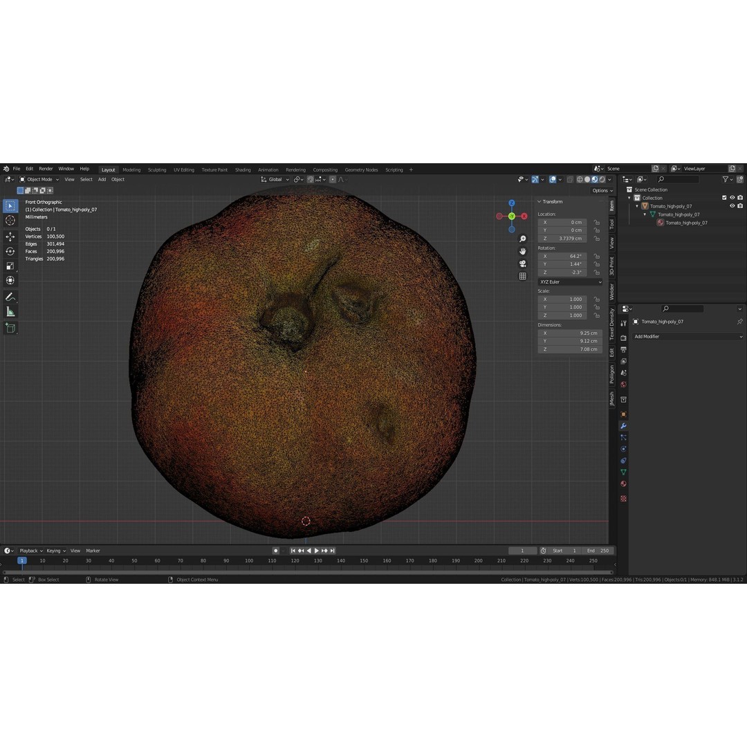 Tomato 3D Model – High Poly Photorealistic Asset for Rendering - View 37