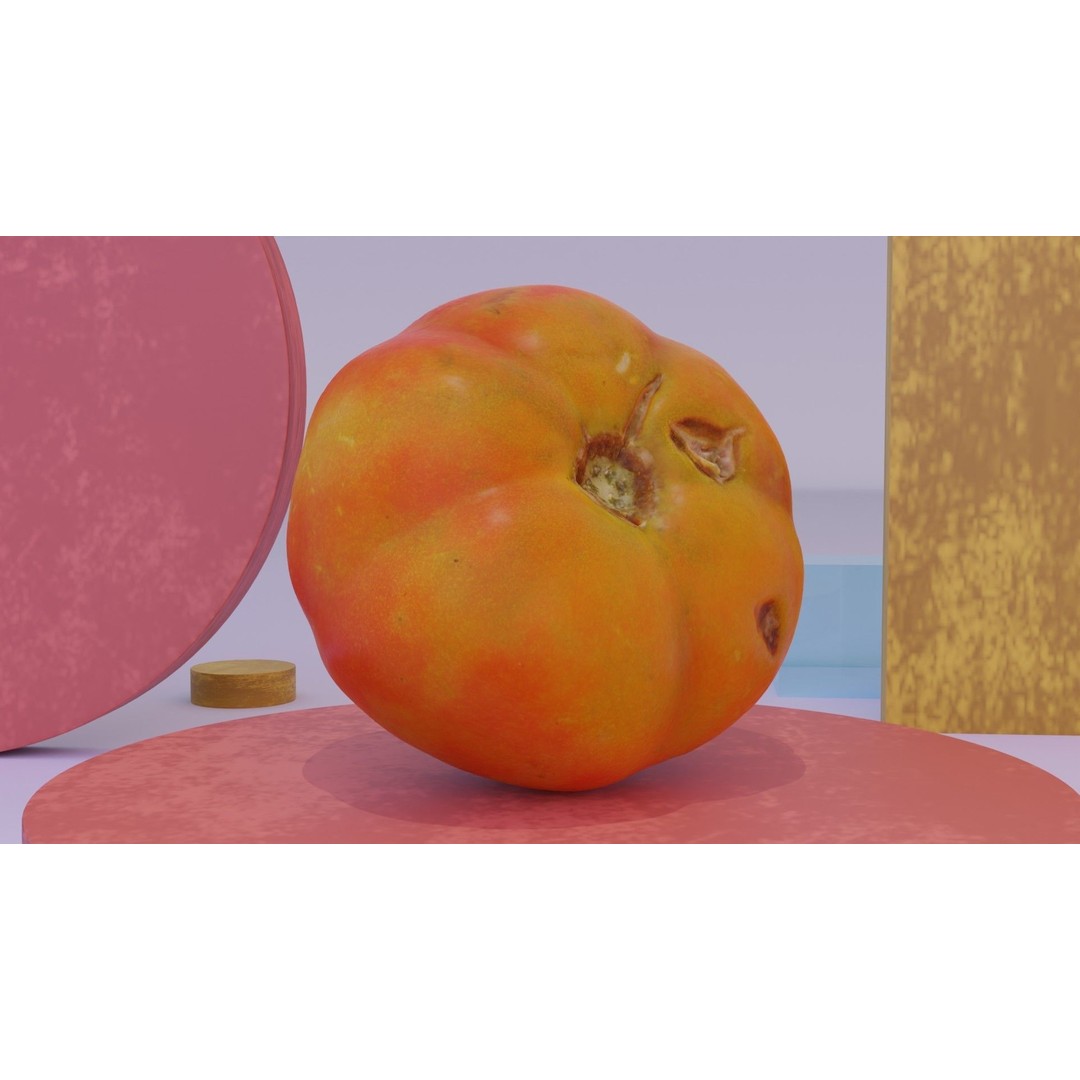 Tomato 3D Model – High Poly Photorealistic Asset for Rendering - View 4