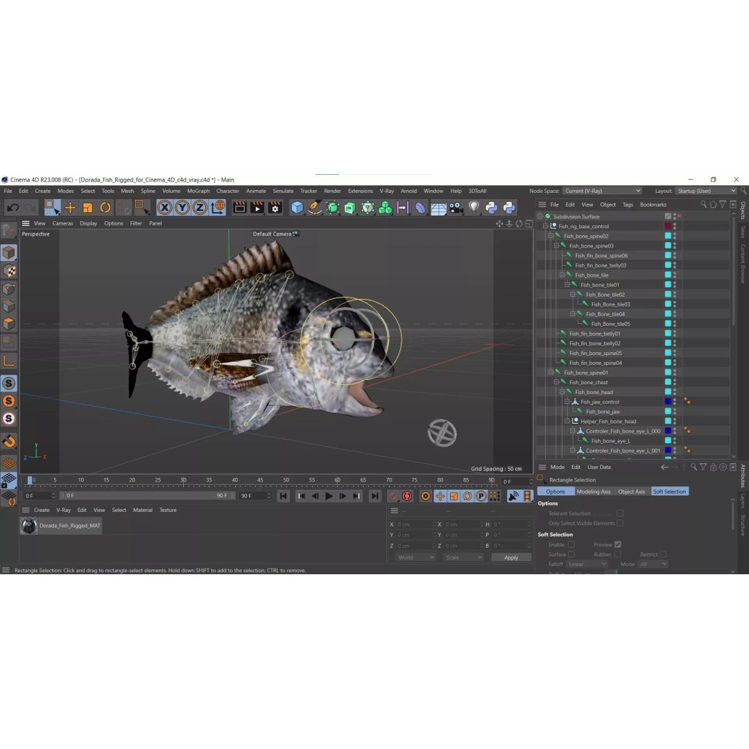 Dorada Fish 3D Model – Rigged PBR Asset for Cinema 4D