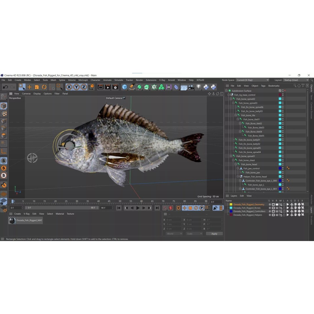 Dorada Fish 3D Model – Rigged PBR Asset for Cinema 4D - View 19