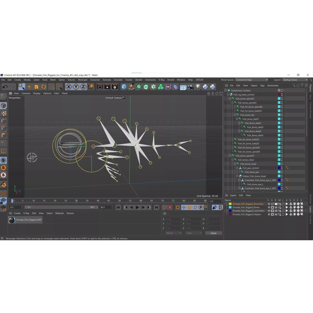 Dorada Fish 3D Model – Rigged PBR Asset for Cinema 4D - View 20