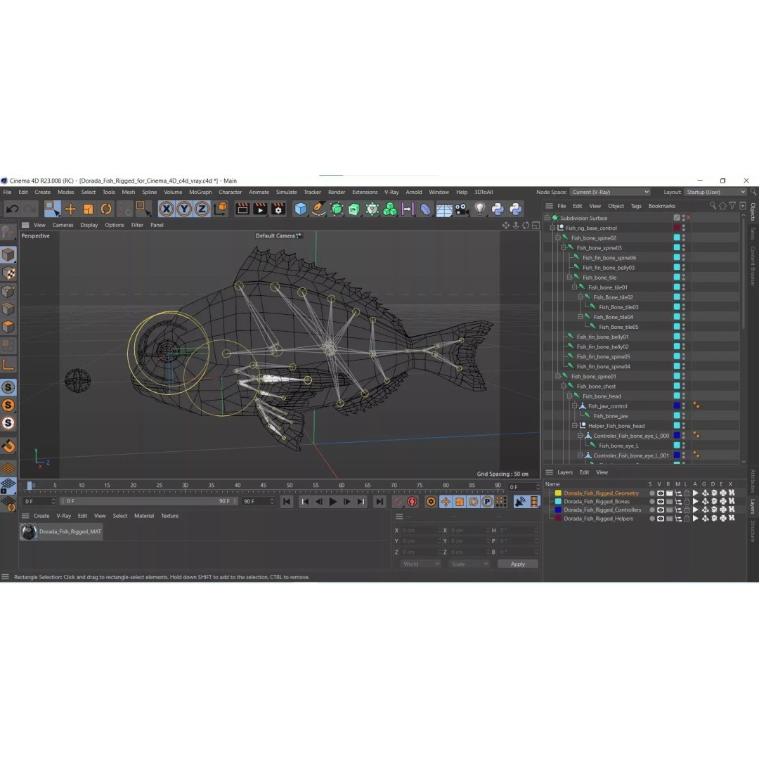 Dorada Fish 3D Model – Rigged PBR Asset for Cinema 4D - View 21