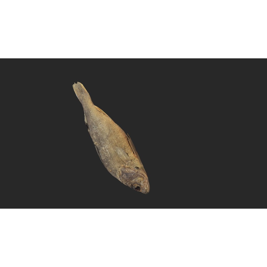 Dried Fish 3D Model – Low Poly Game Asset, PBR Textures, FBX - View 10