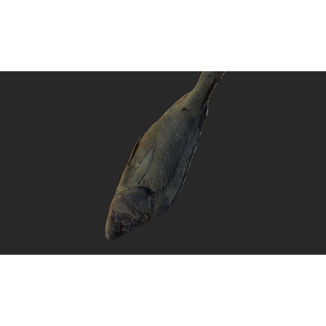 Dried Fish 3D Model – Low Poly Game Asset, PBR Textures, FBX - View 11