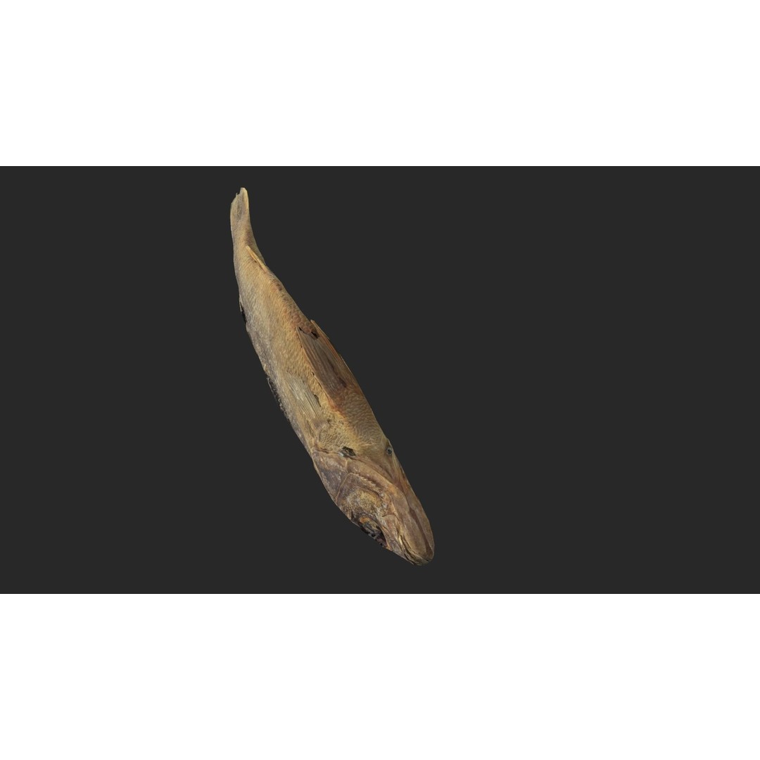 Dried Fish 3D Model – Low Poly Game Asset, PBR Textures, FBX - View 12