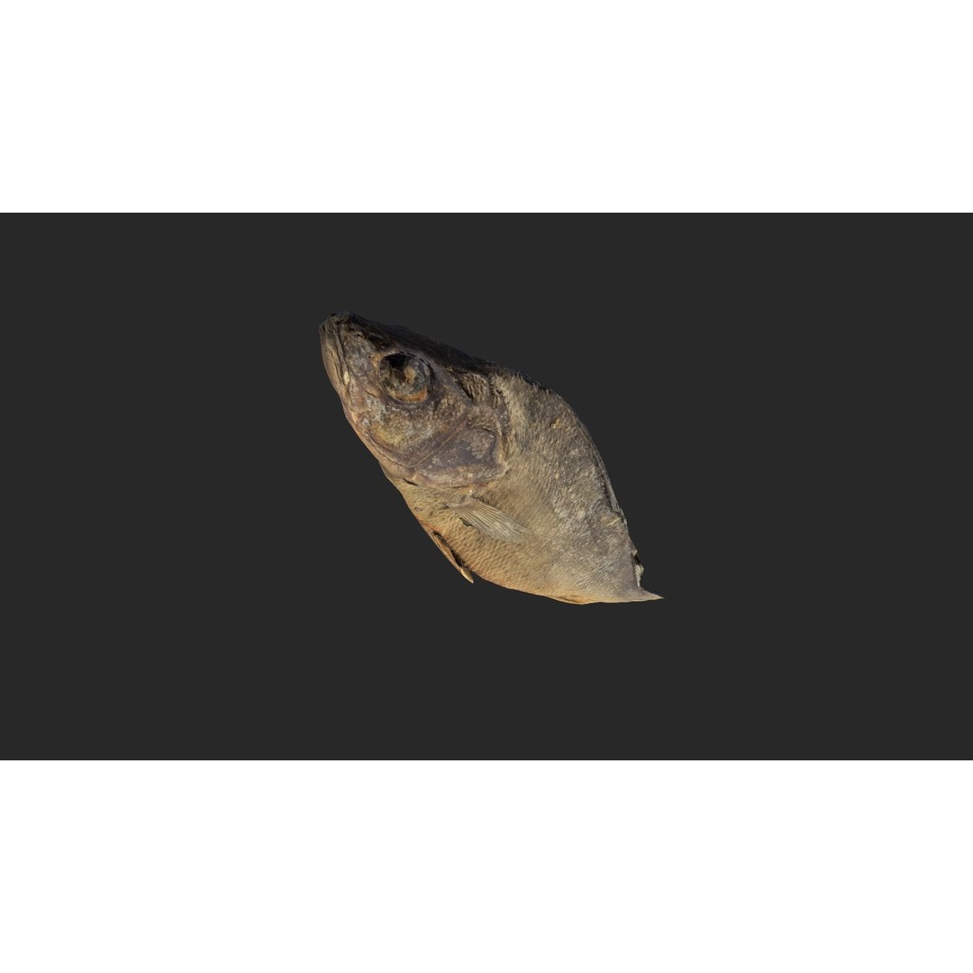 Dried Fish 3D Model – Low Poly Game Asset, PBR Textures, FBX - View 13