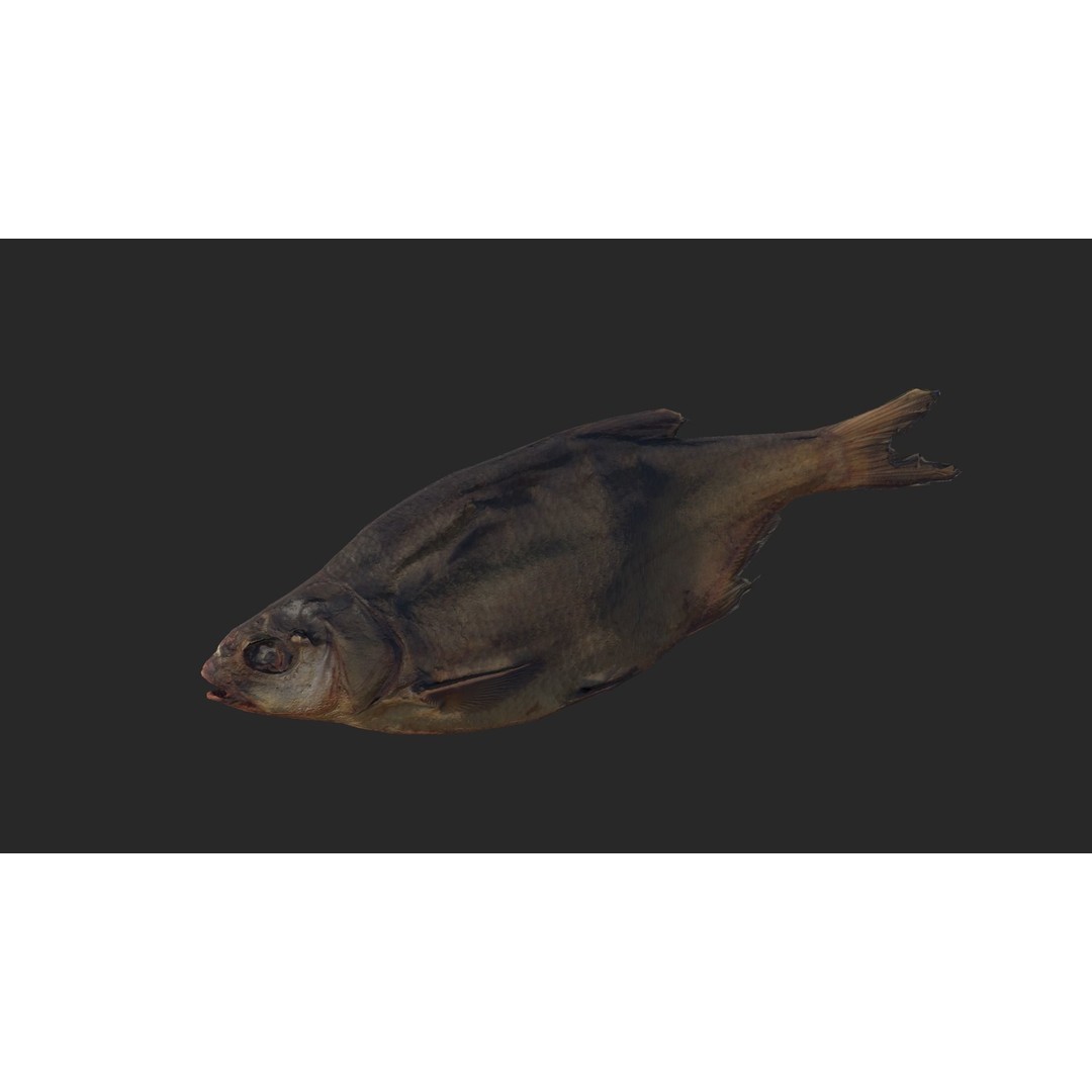 Dried Fish 3D Model – Low Poly Game Asset, PBR Textures, FBX - View 16