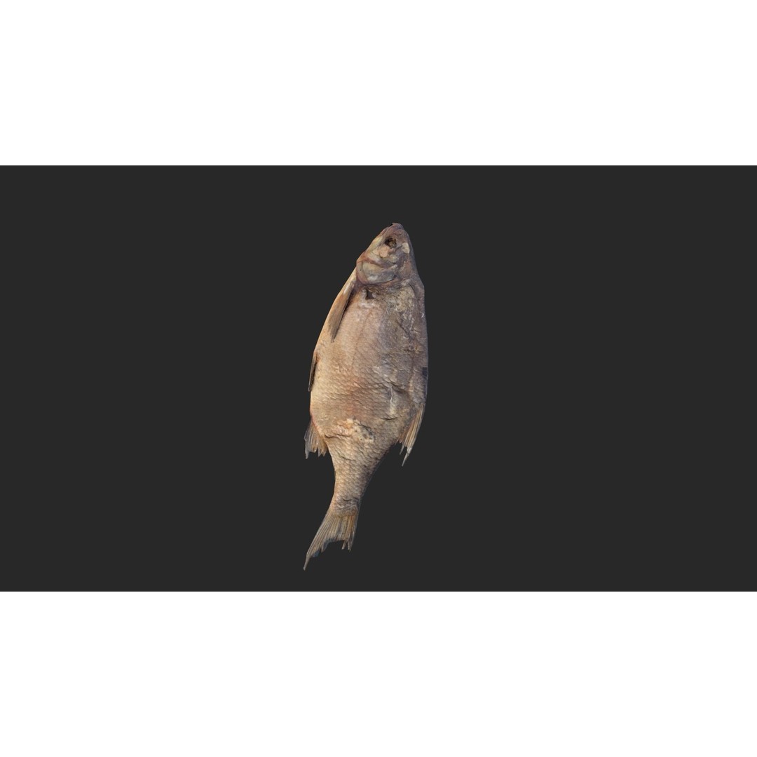 Dried Fish 3D Model – Low Poly Game Asset, PBR Textures, FBX - View 17