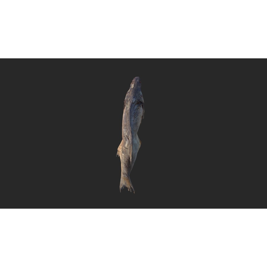 Dried Fish 3D Model – Low Poly Game Asset, PBR Textures, FBX - View 18