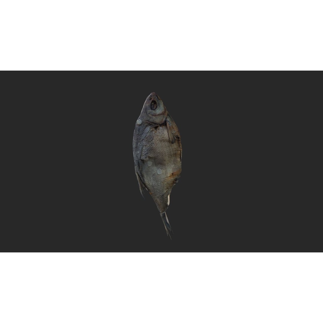 Dried Fish 3D Model – Low Poly Game Asset, PBR Textures, FBX - View 19