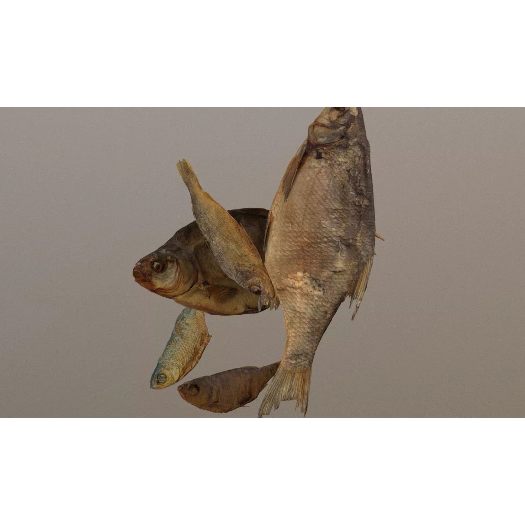 Dried Fish 3D Model – Low Poly Game Asset, PBR Textures, FBX - View 2