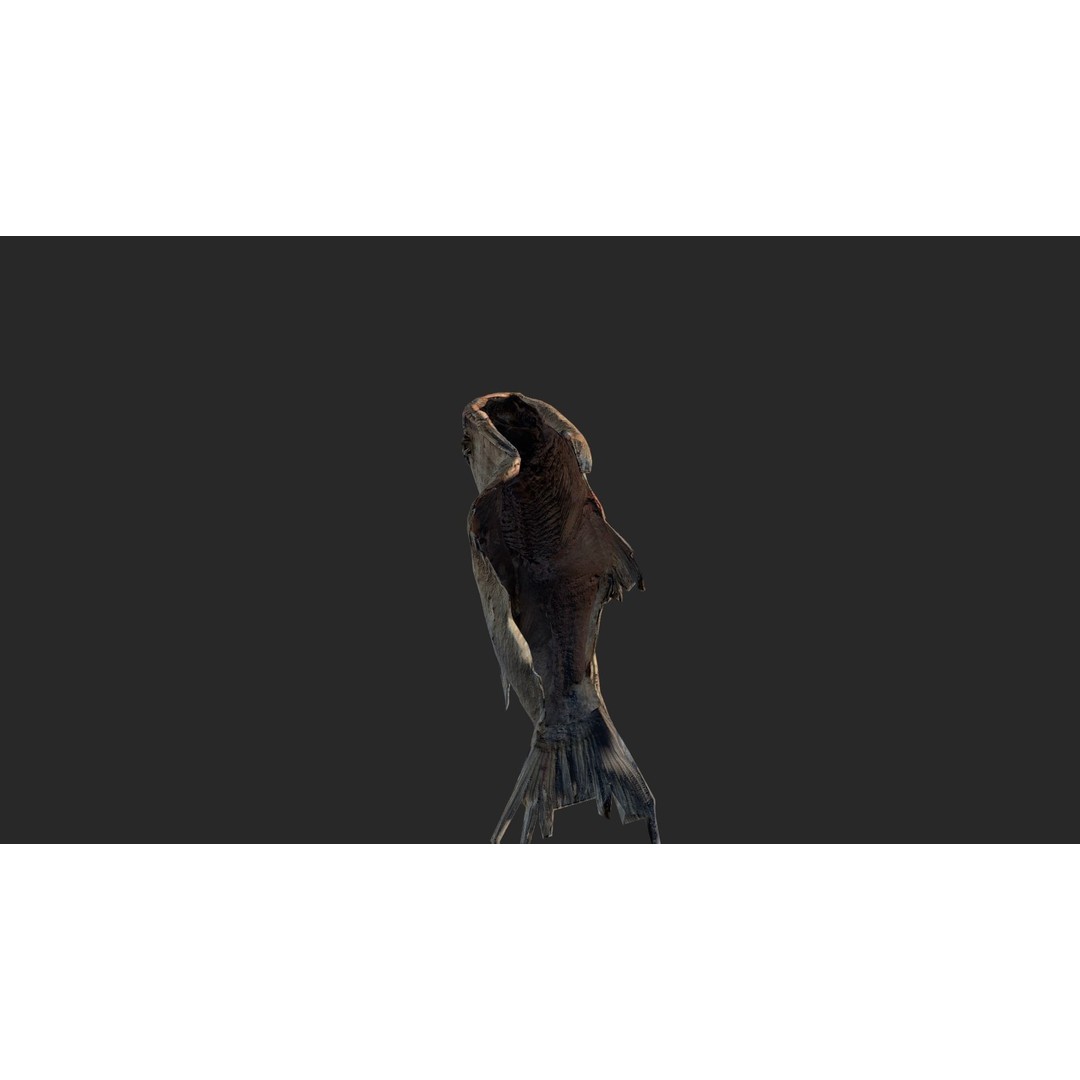 Dried Fish 3D Model – Low Poly Game Asset, PBR Textures, FBX - View 20