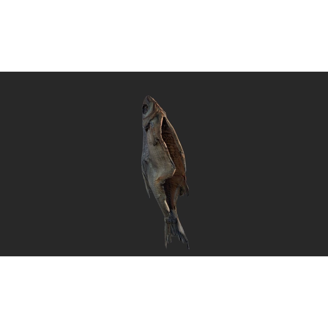 Dried Fish 3D Model – Low Poly Game Asset, PBR Textures, FBX - View 21