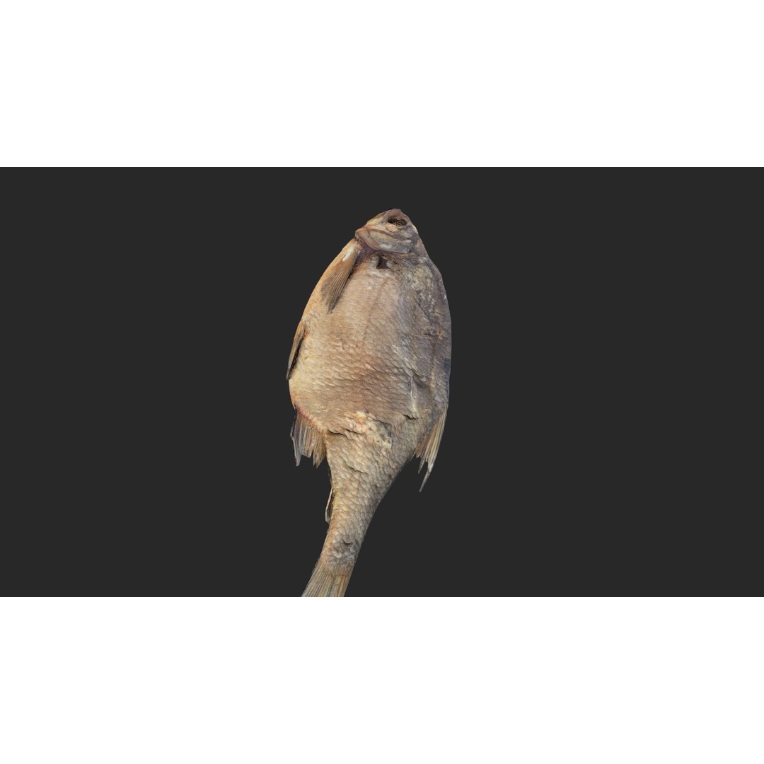 Dried Fish 3D Model – Low Poly Game Asset, PBR Textures, FBX - View 24