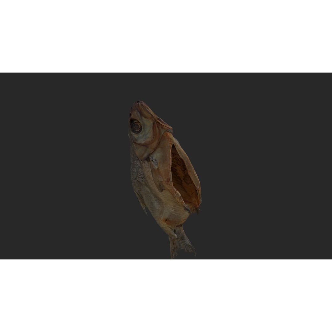 Dried Fish 3D Model – Low Poly Game Asset, PBR Textures, FBX - View 25