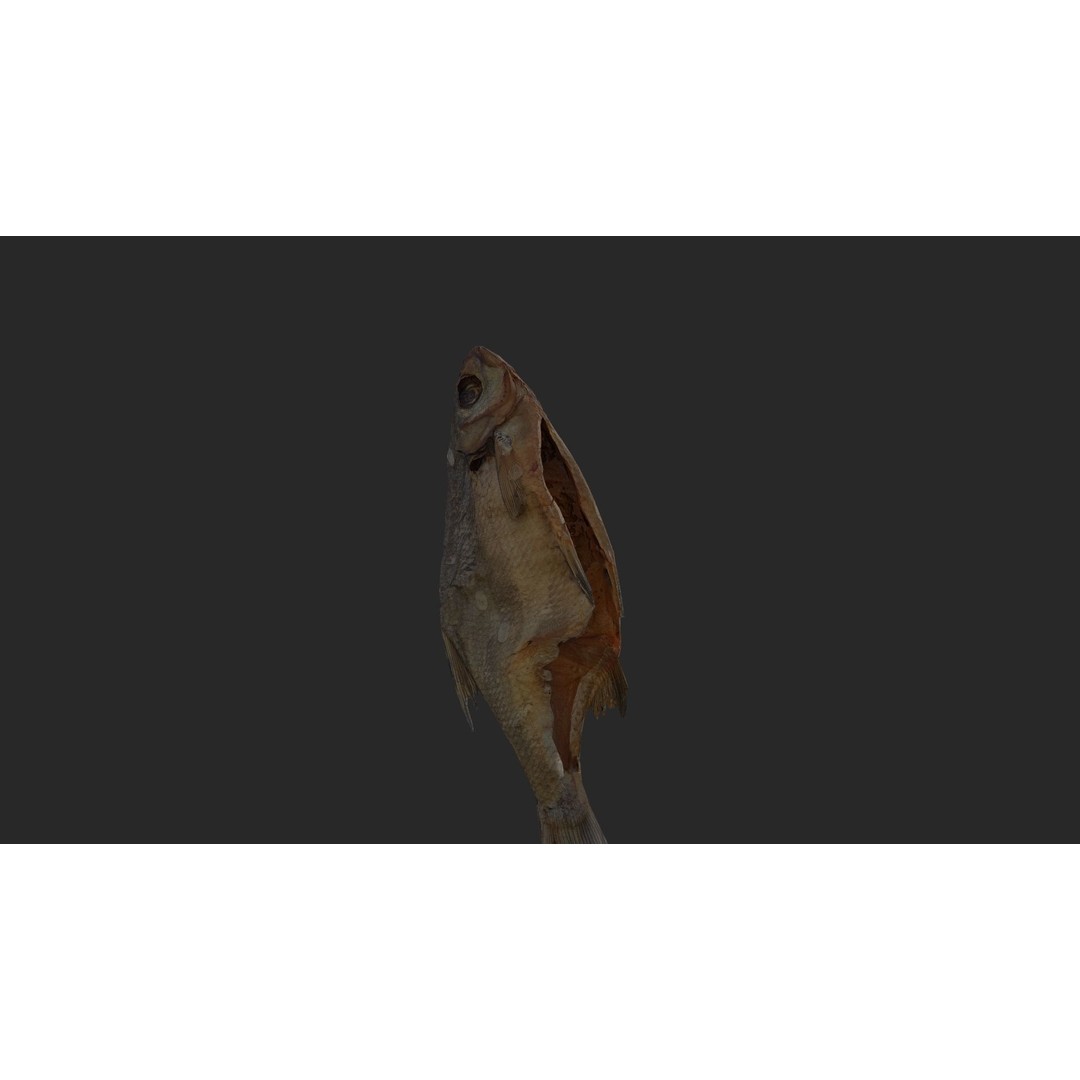 Dried Fish 3D Model – Low Poly Game Asset, PBR Textures, FBX - View 26