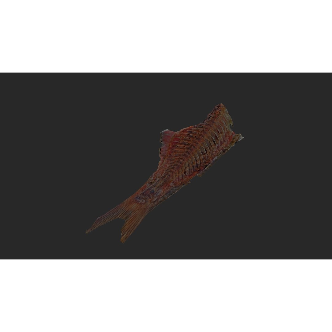 Dried Fish 3D Model – Low Poly Game Asset, PBR Textures, FBX - View 27