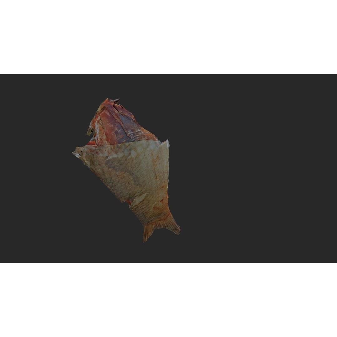 Dried Fish 3D Model – Low Poly Game Asset, PBR Textures, FBX - View 28