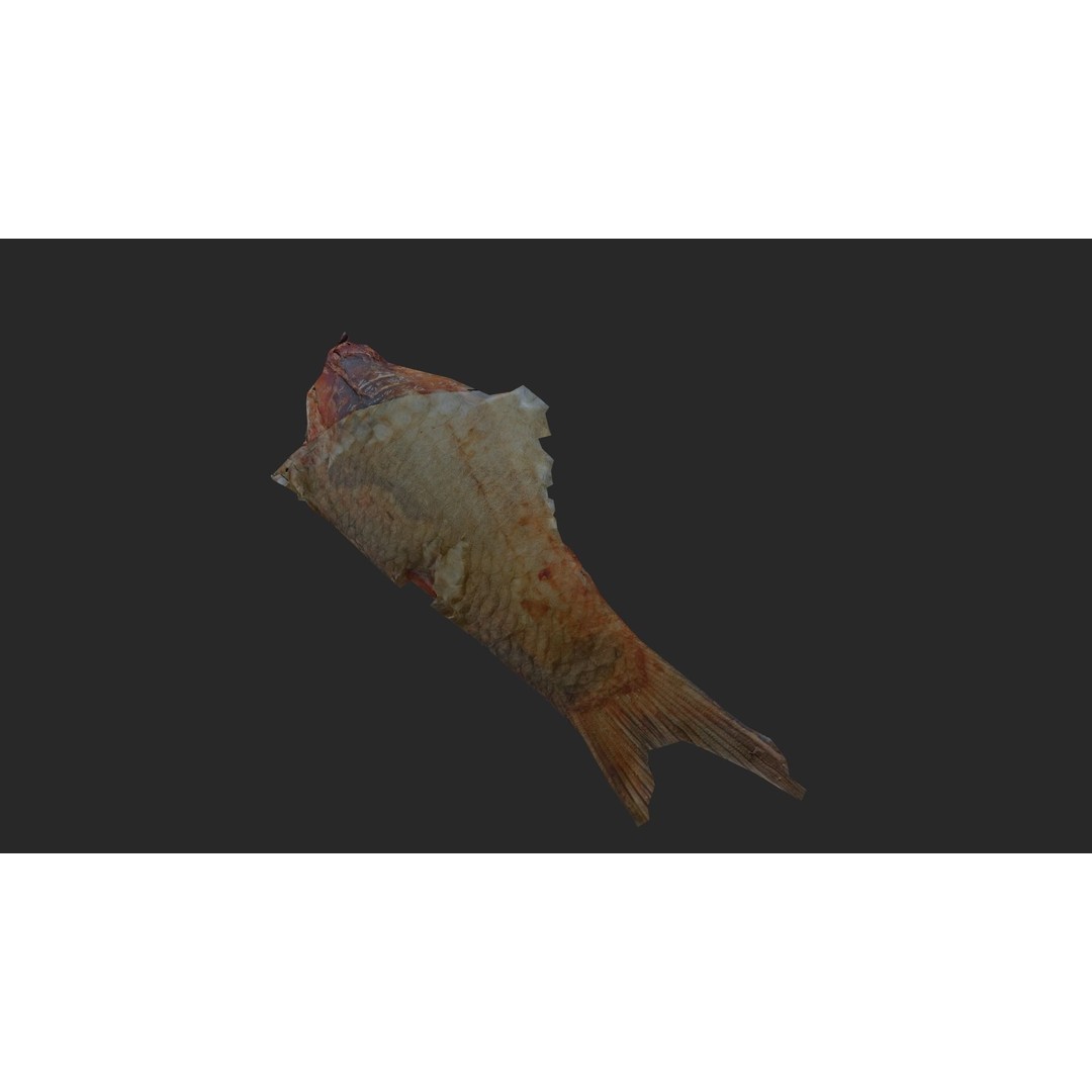 Dried Fish 3D Model – Low Poly Game Asset, PBR Textures, FBX - View 29
