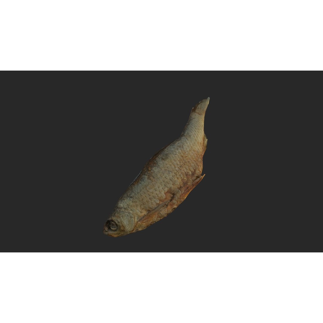 Dried Fish 3D Model – Low Poly Game Asset, PBR Textures, FBX - View 3