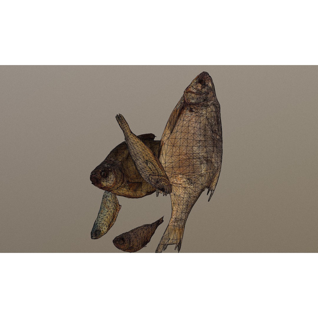 Dried Fish 3D Model – Low Poly Game Asset, PBR Textures, FBX - View 32