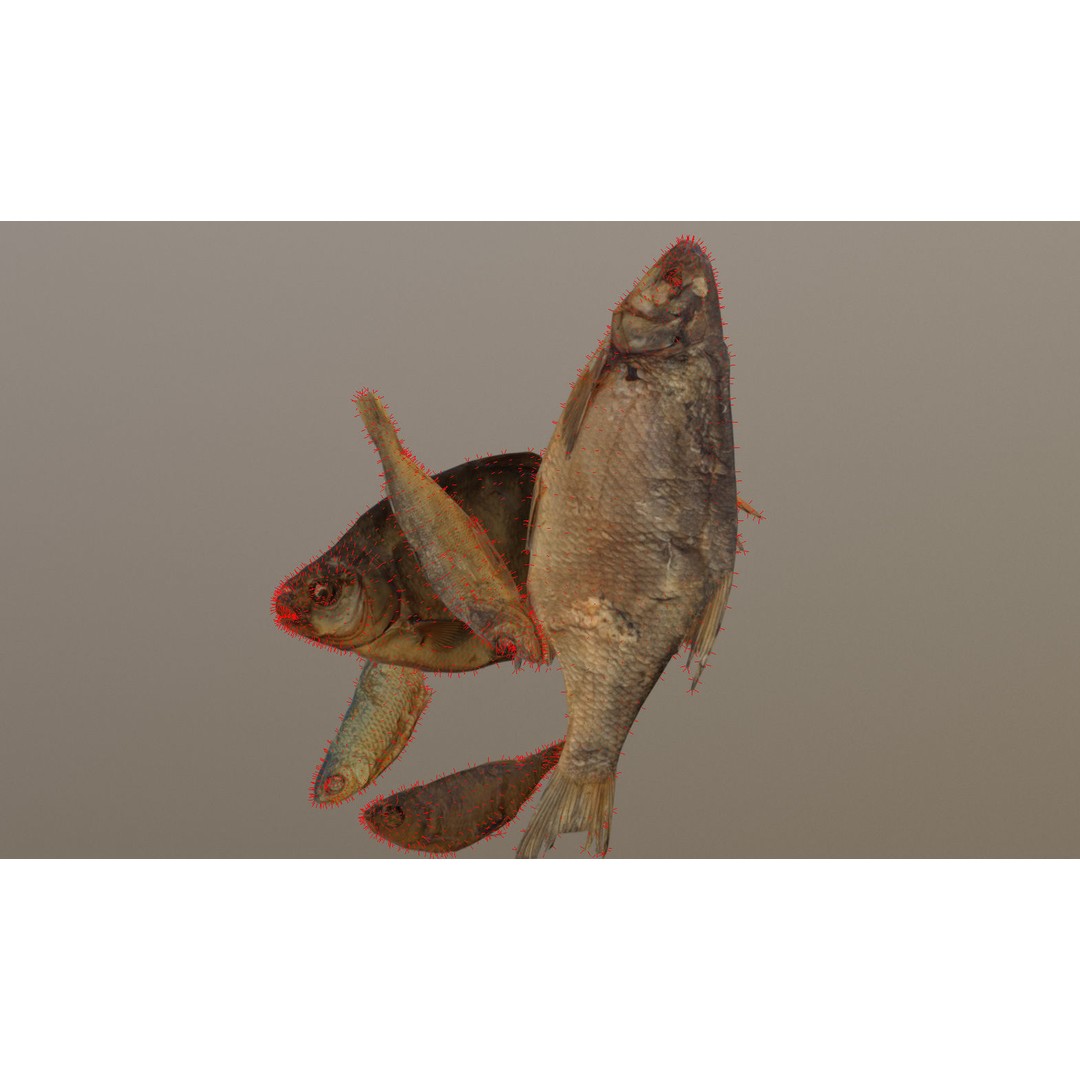 Dried Fish 3D Model – Low Poly Game Asset, PBR Textures, FBX - View 33