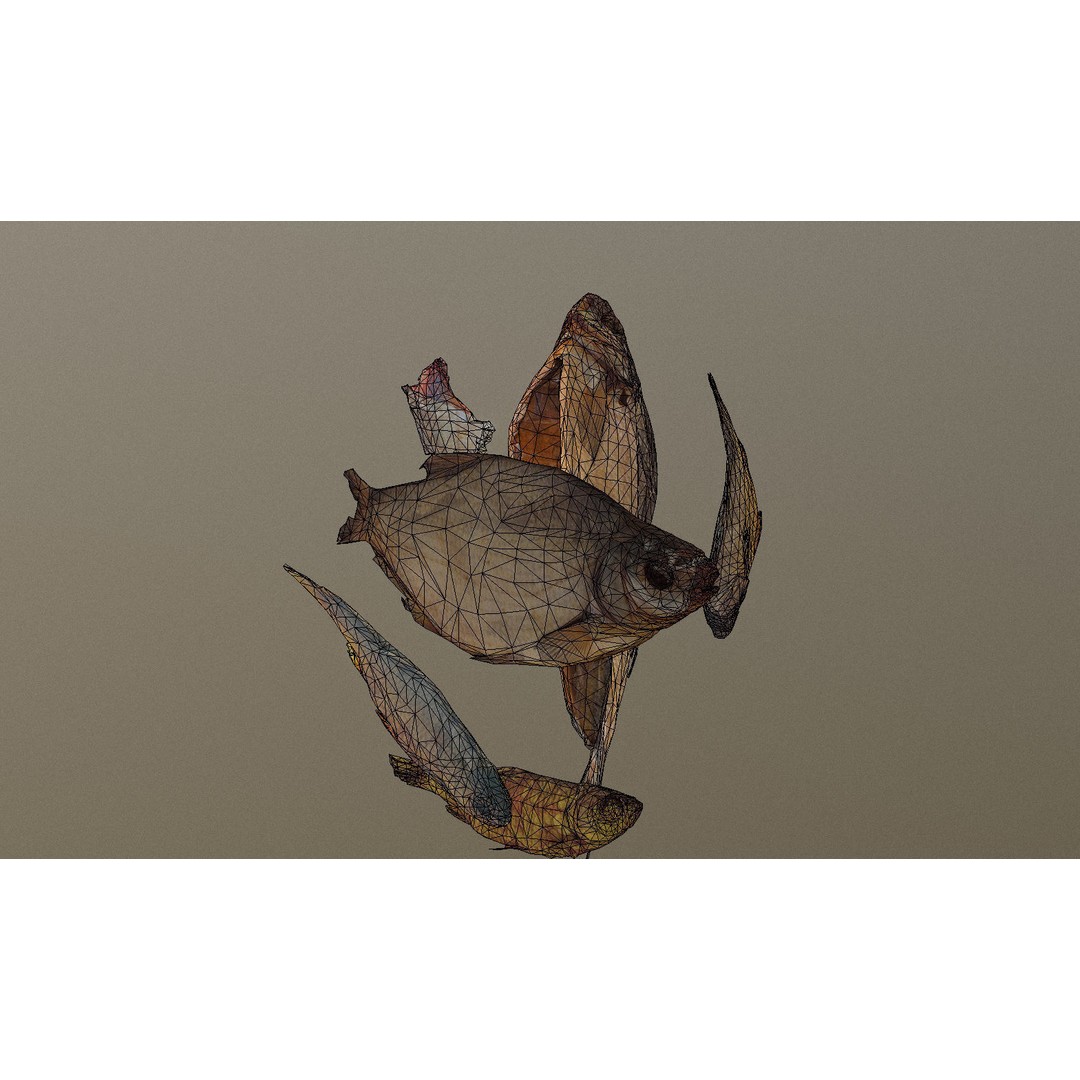 Dried Fish 3D Model – Low Poly Game Asset, PBR Textures, FBX - View 34