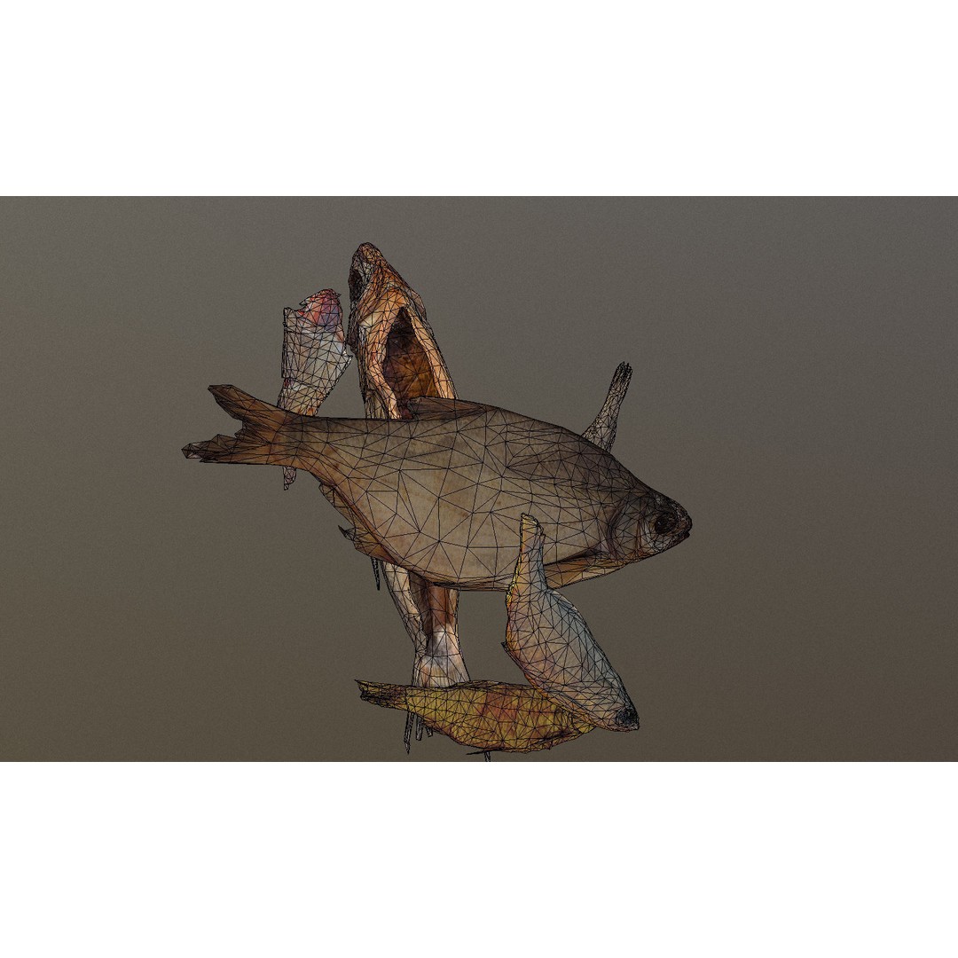 Dried Fish 3D Model – Low Poly Game Asset, PBR Textures, FBX - View 35